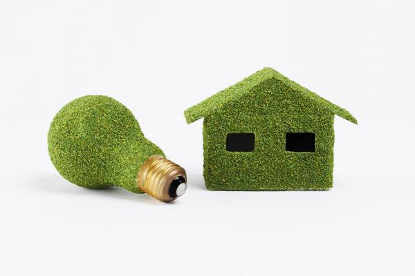 eco friendly houses